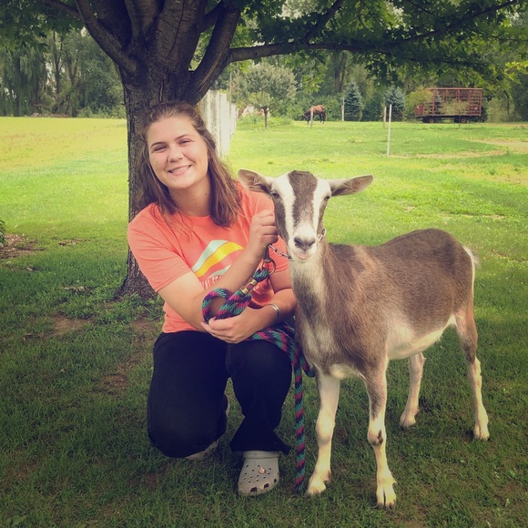 Meet your Posher, Holly - Picture 1 of 1